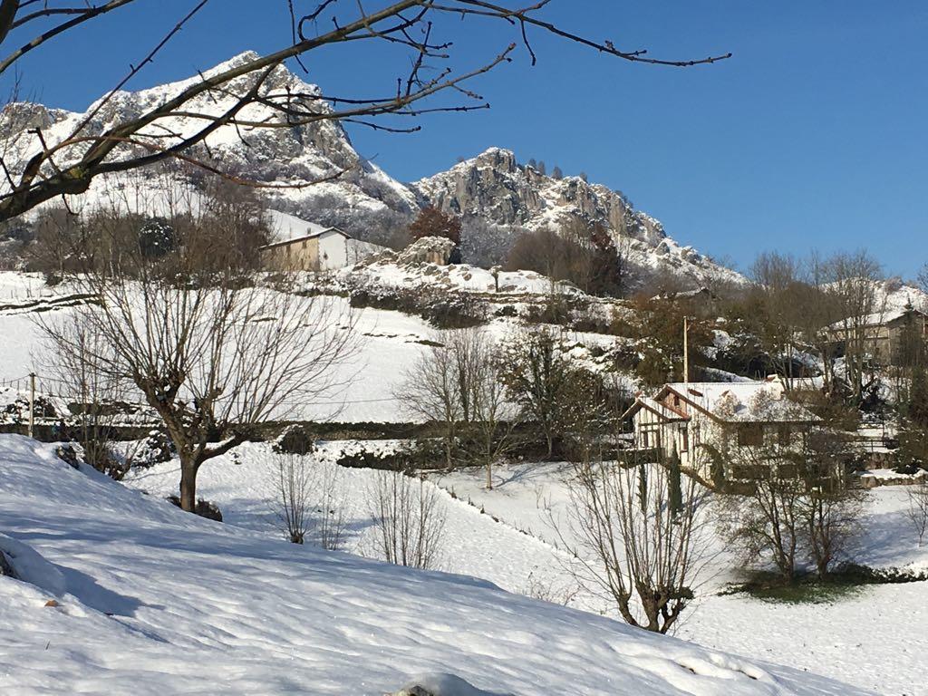 Casa Rural Balerdi Pensionat Azcárate Eksteriør billede